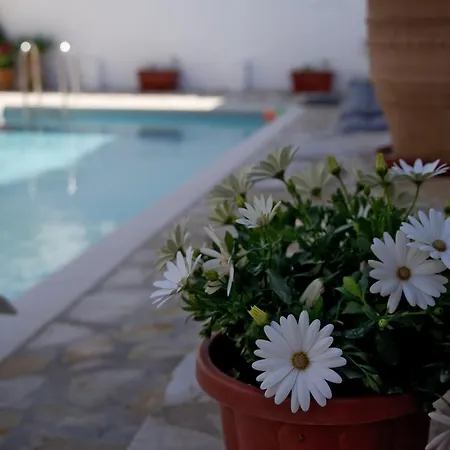 Appartement Nicola's